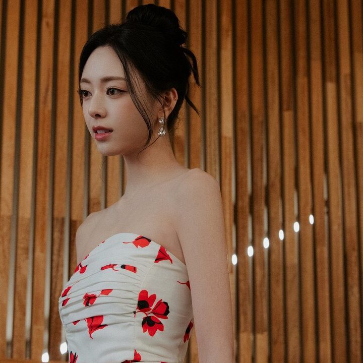Yoon Seo-in Bela Ha-young, Tuai Sindiran Soal Kolaborator Jepang